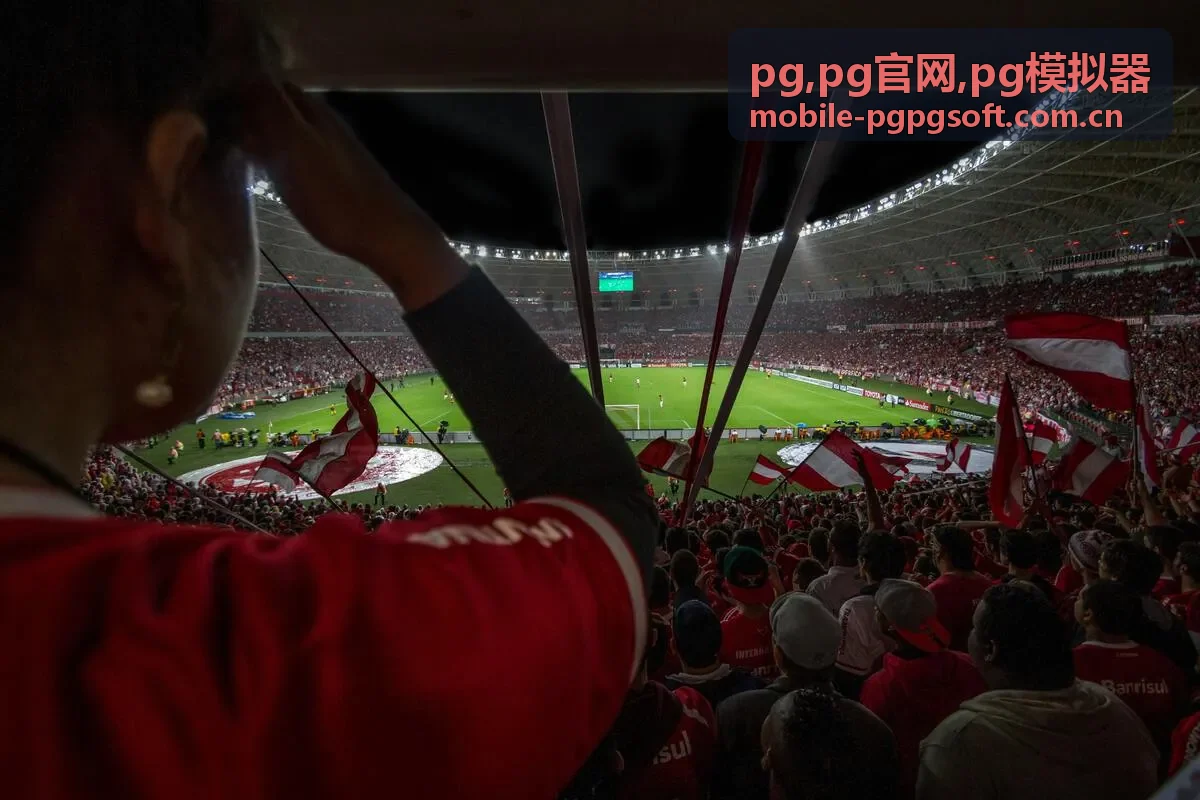 PG合规与协议验证